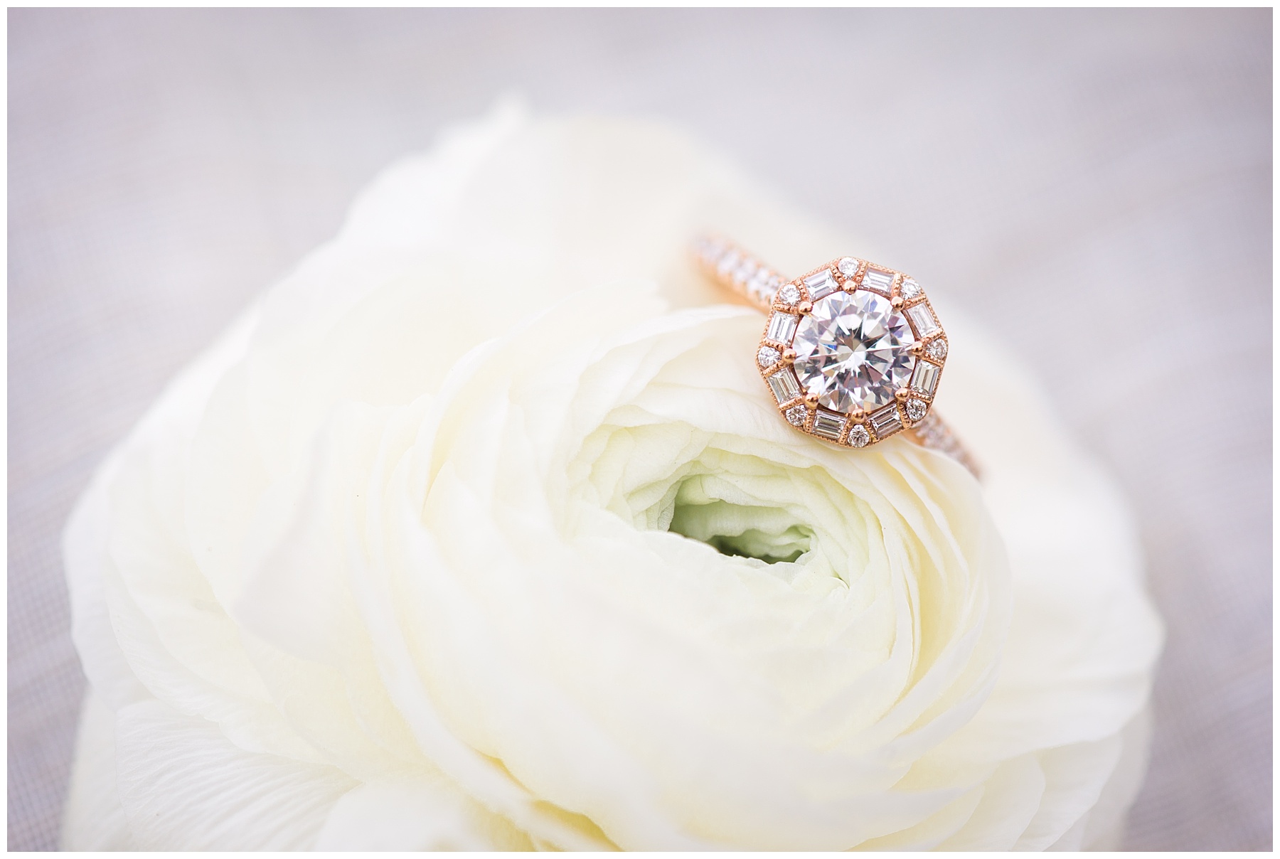 Gorgeous Canoe Engagement Shoot Annapolis Wedding Photographer Mary Sarah Photography