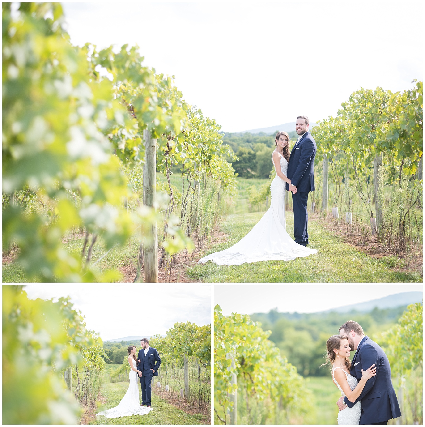 Springfield Manor Wedding vineyard