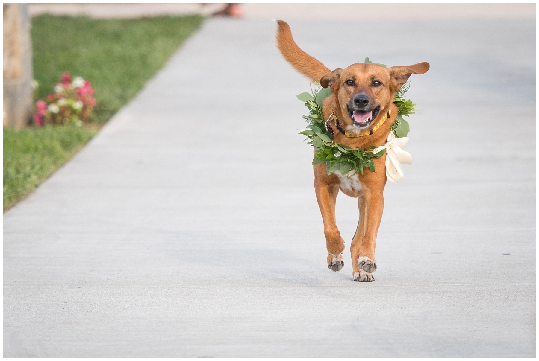 Springfield Manor wedding ceremony