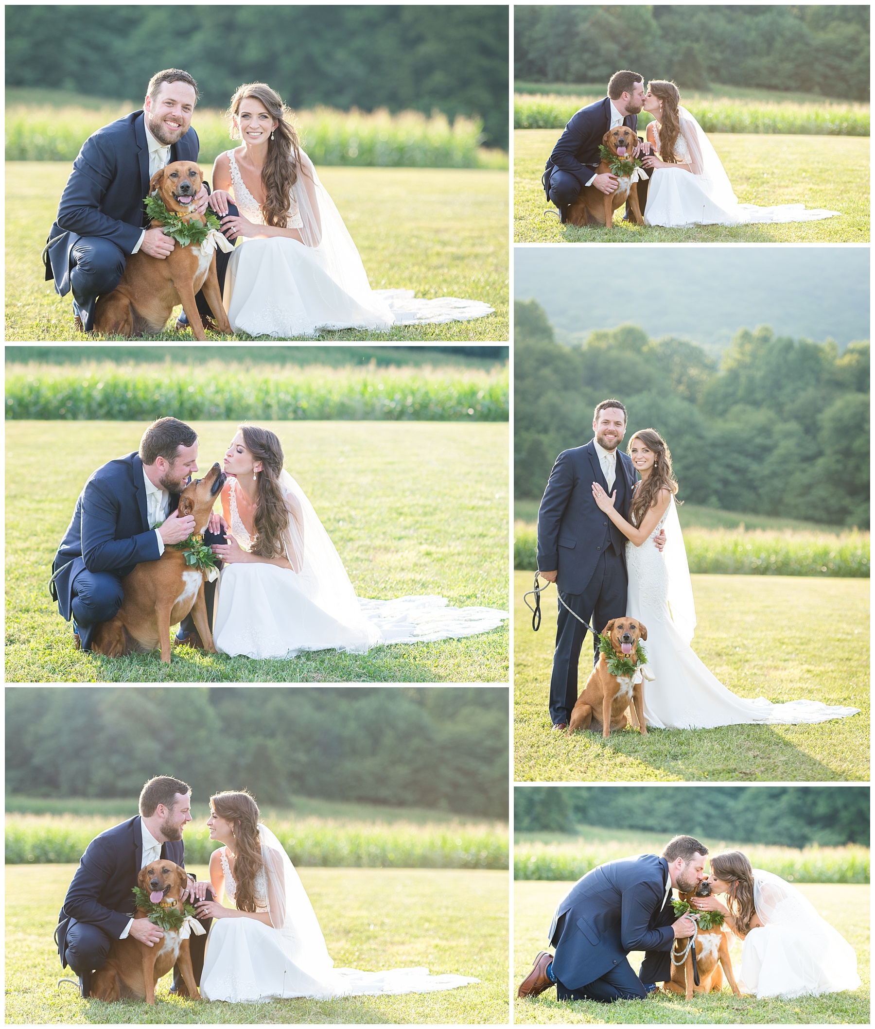 Bride and groom with ring bearer dog