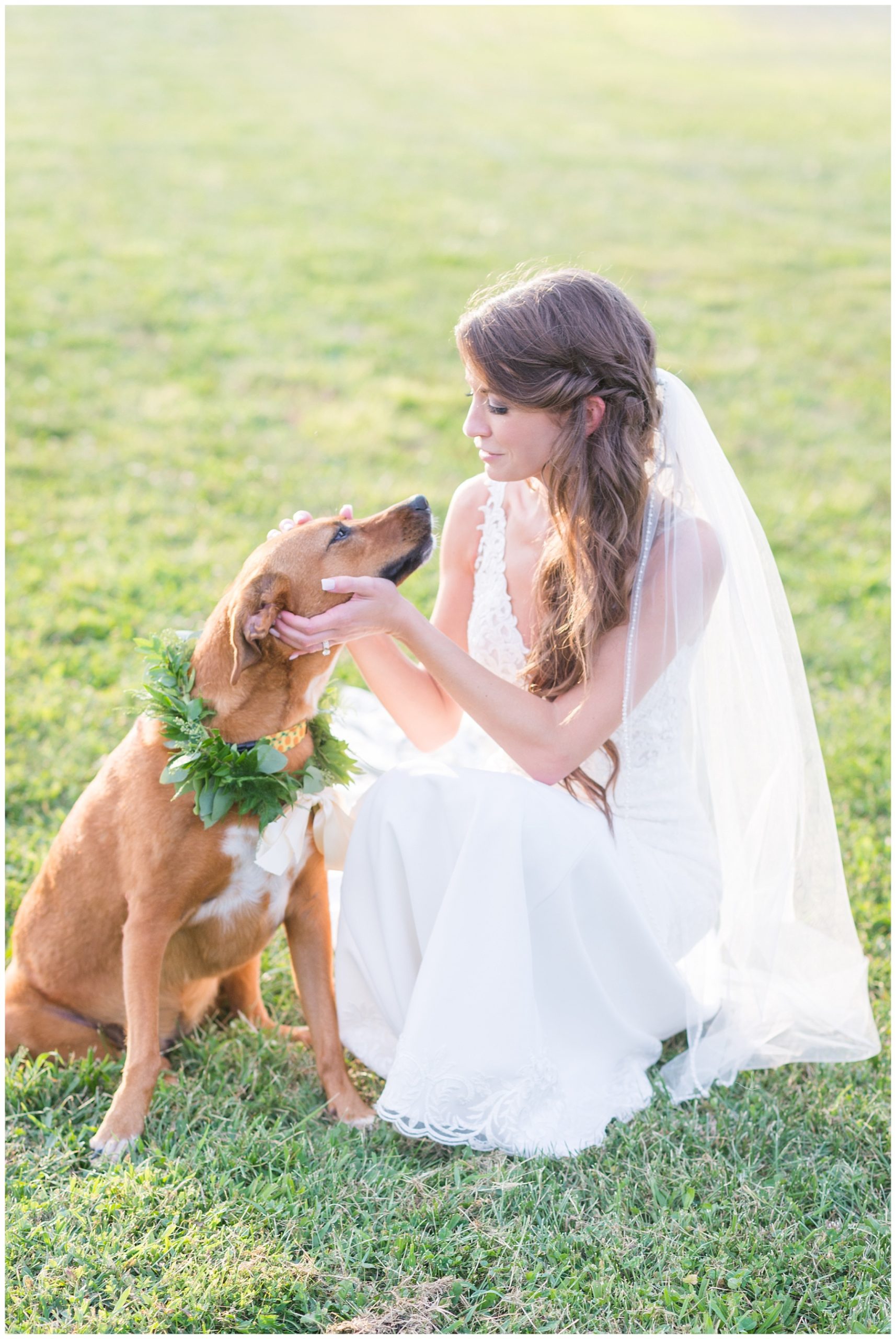 bride with ring bearer dog