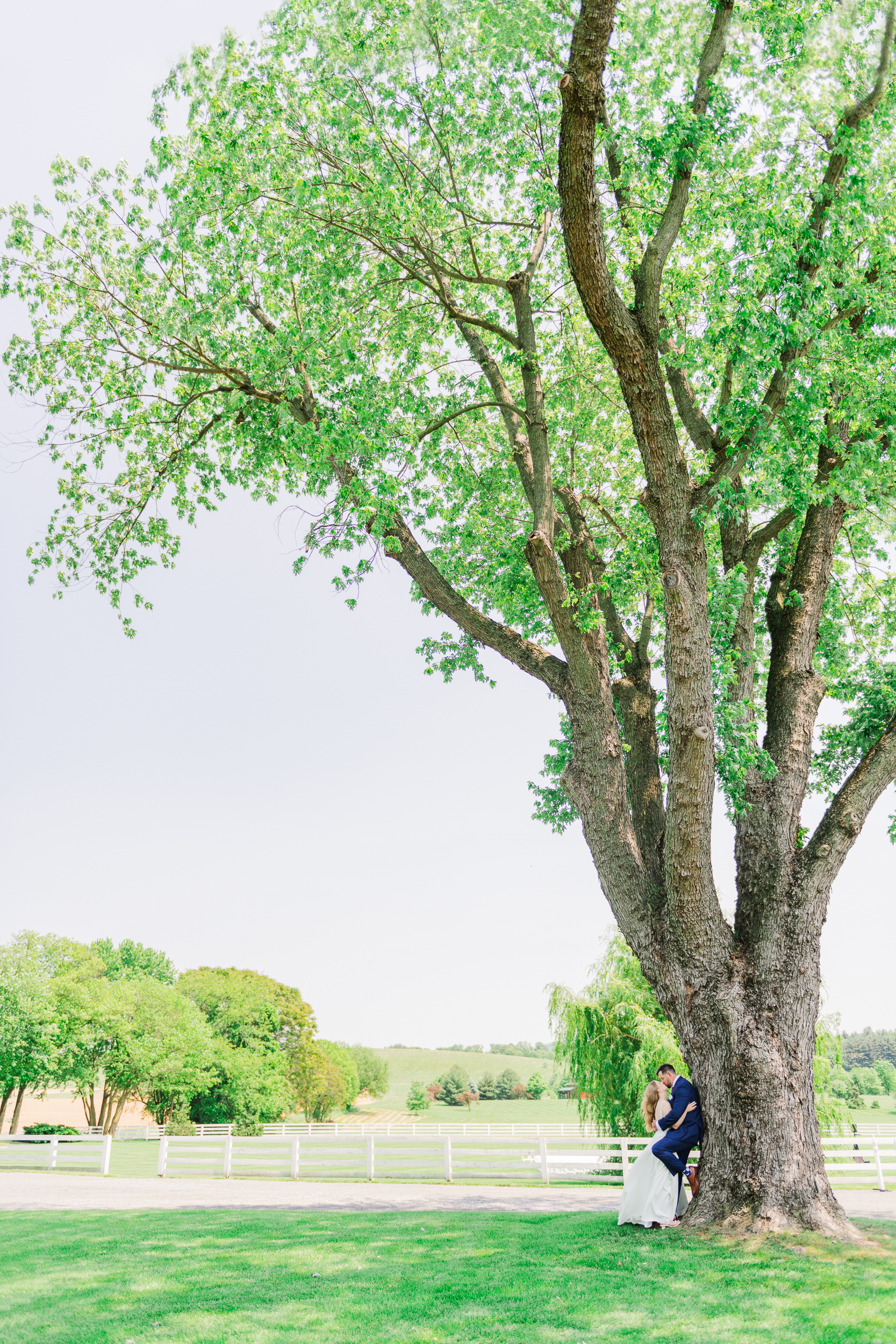 Bride and groom kissing portrait leaning against Bluebird Manor's iconic oak tree