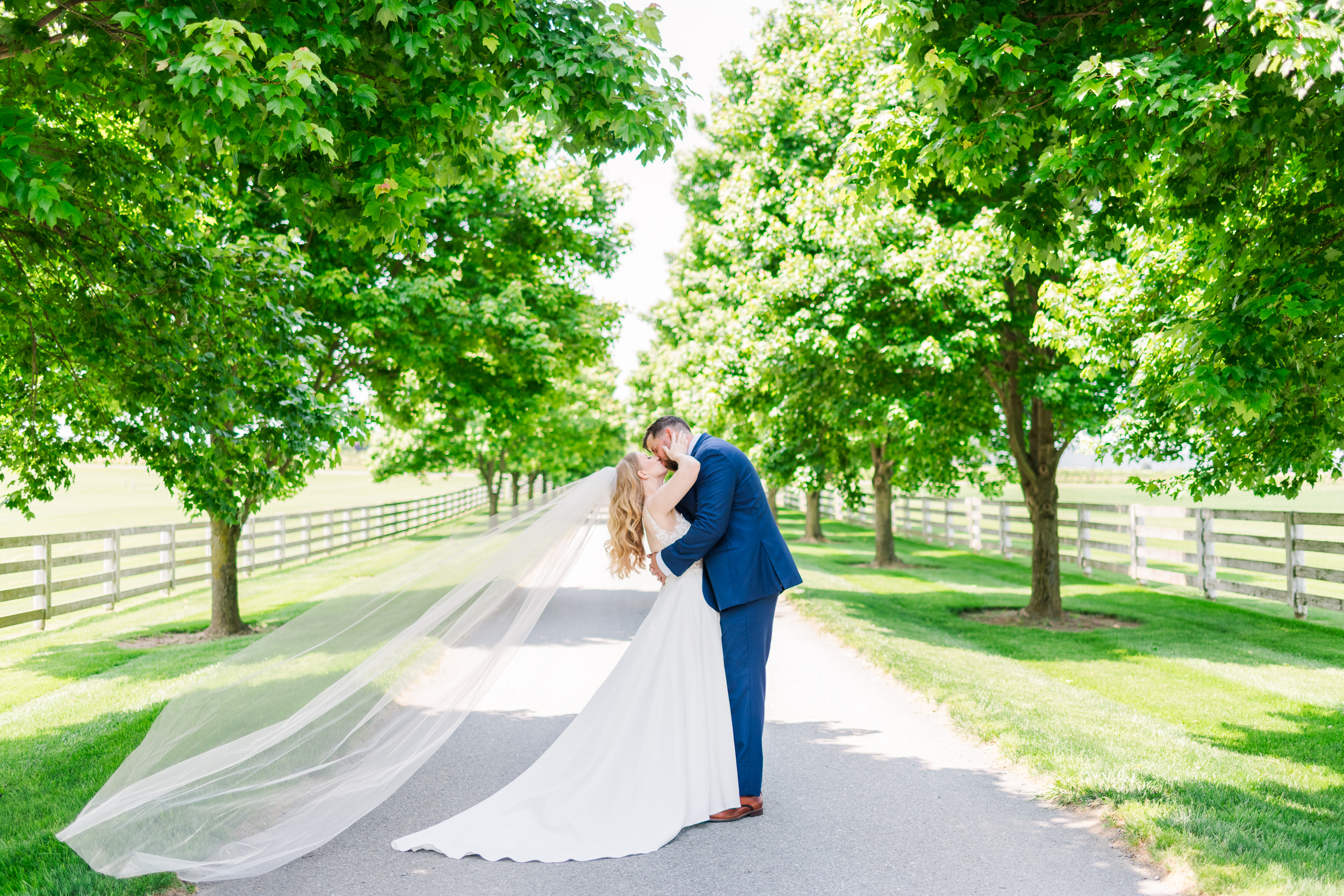 Romantic wedding portraits on the grounds of Bluebird Manor in Maryland