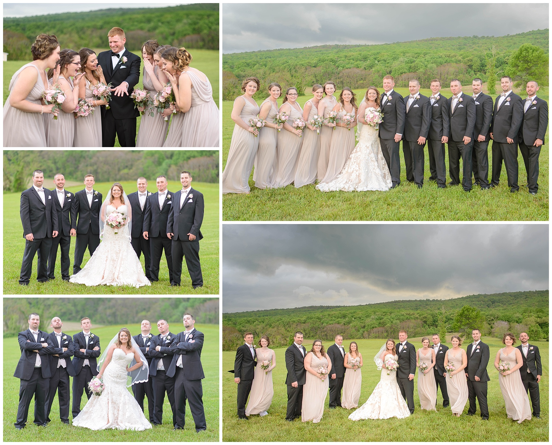 Springfield Manor Wedding Pictures