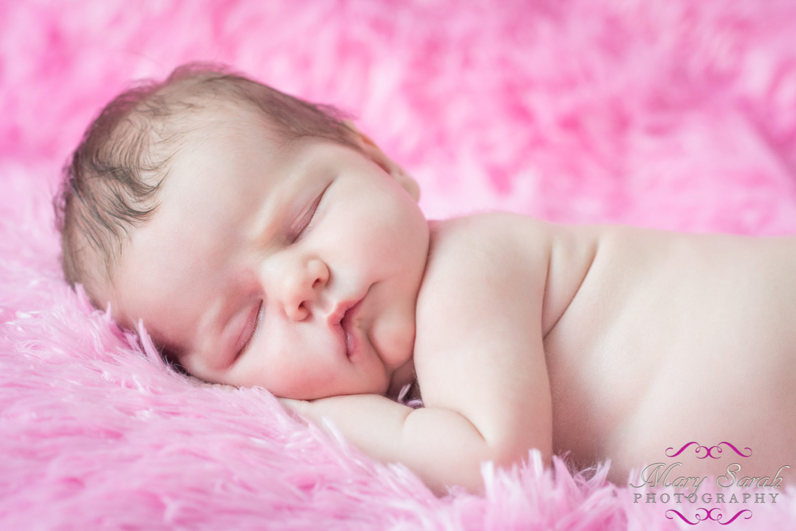 Frederick MD Newborn Photographer