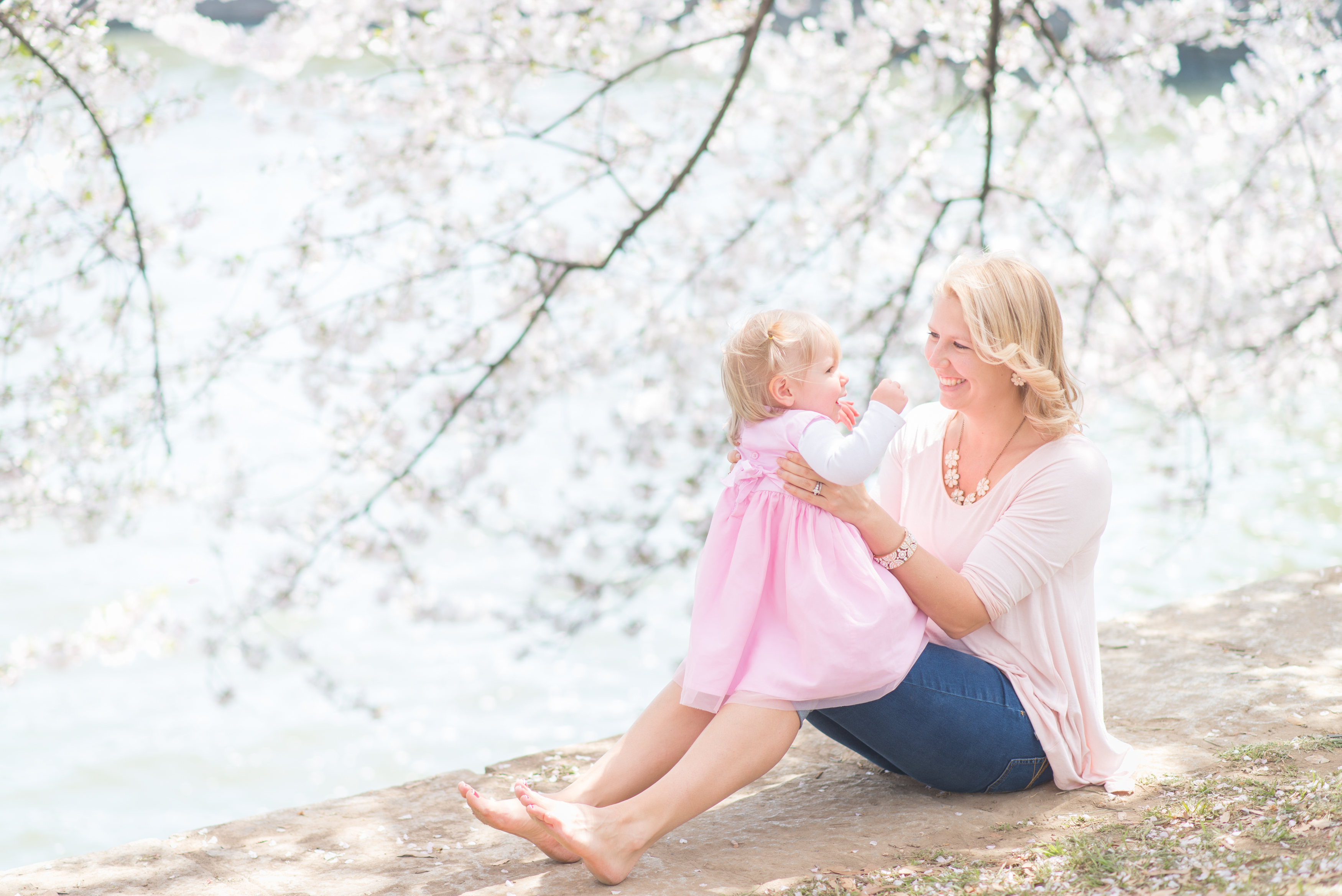 DC cherry blossoms photoshoot