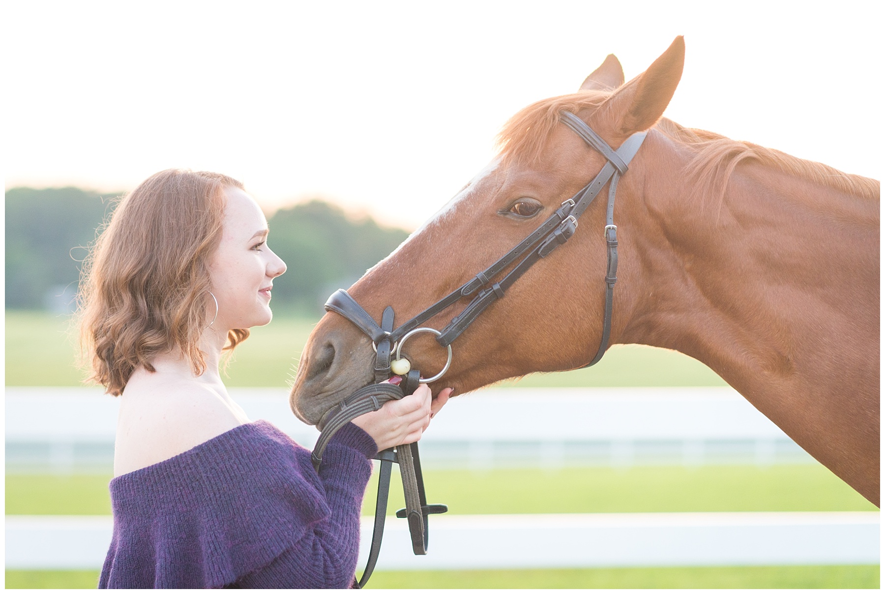 Gorgeous Maryland Horse Senior Pictures