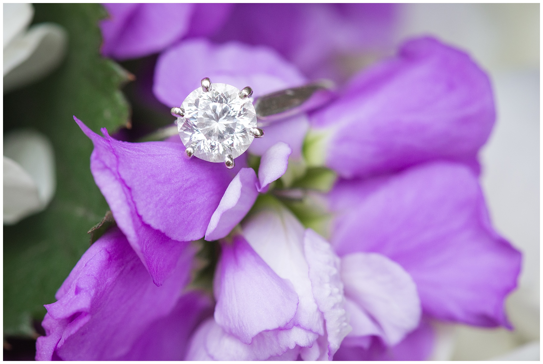 Glen Ellen Farm Wedding Pictures ring shot