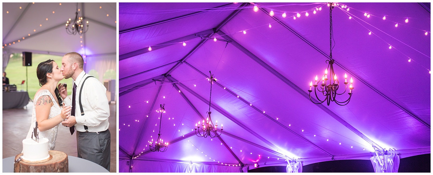 Glen Ellen Farm Wedding Pictures Reception Tent Frederick Maryland Wedding Photographer