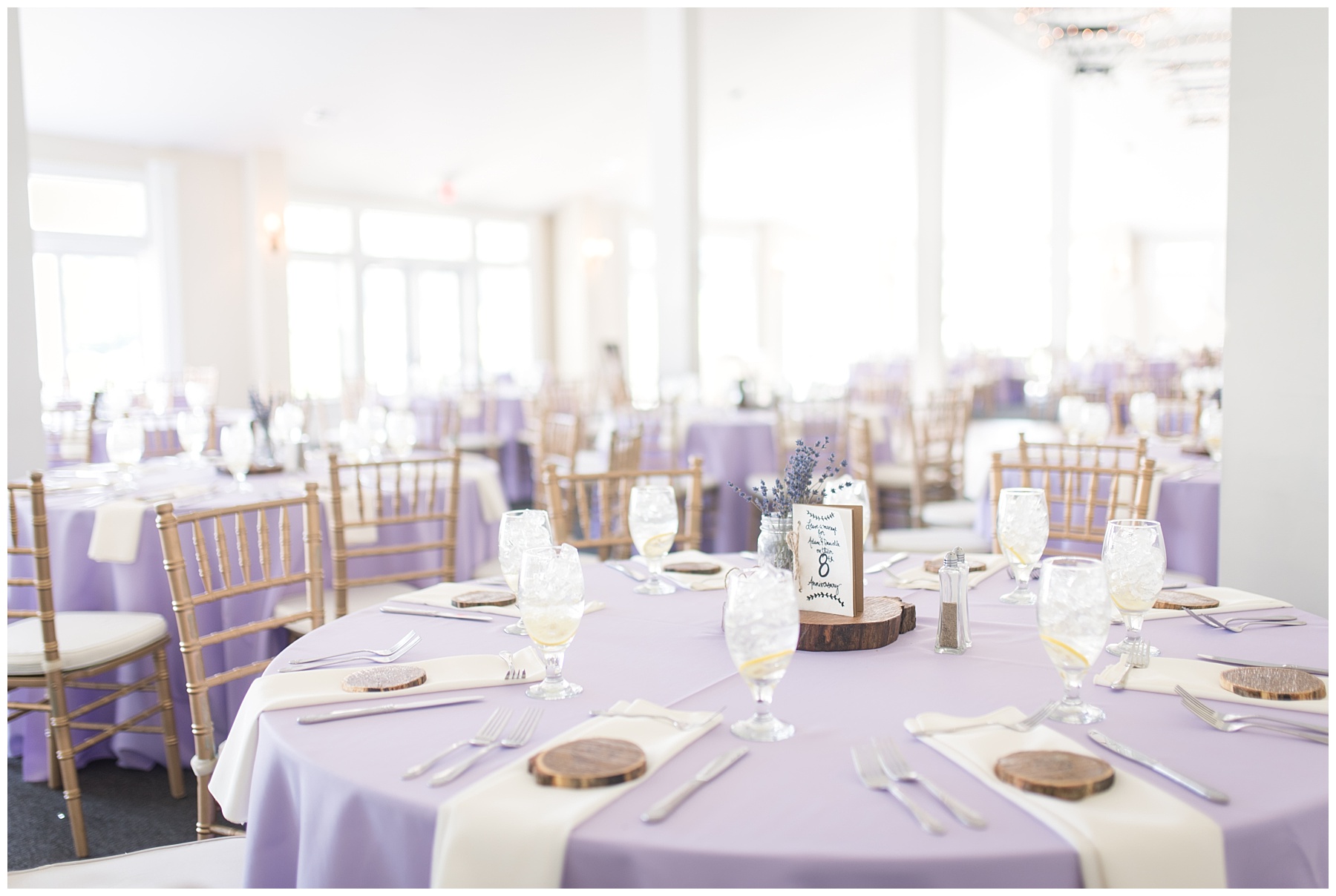 Springfield Manor Winery and Distillery Wedding Reception Pictures Mary Sarah Photography Frederick Maryland Wedding Photographer