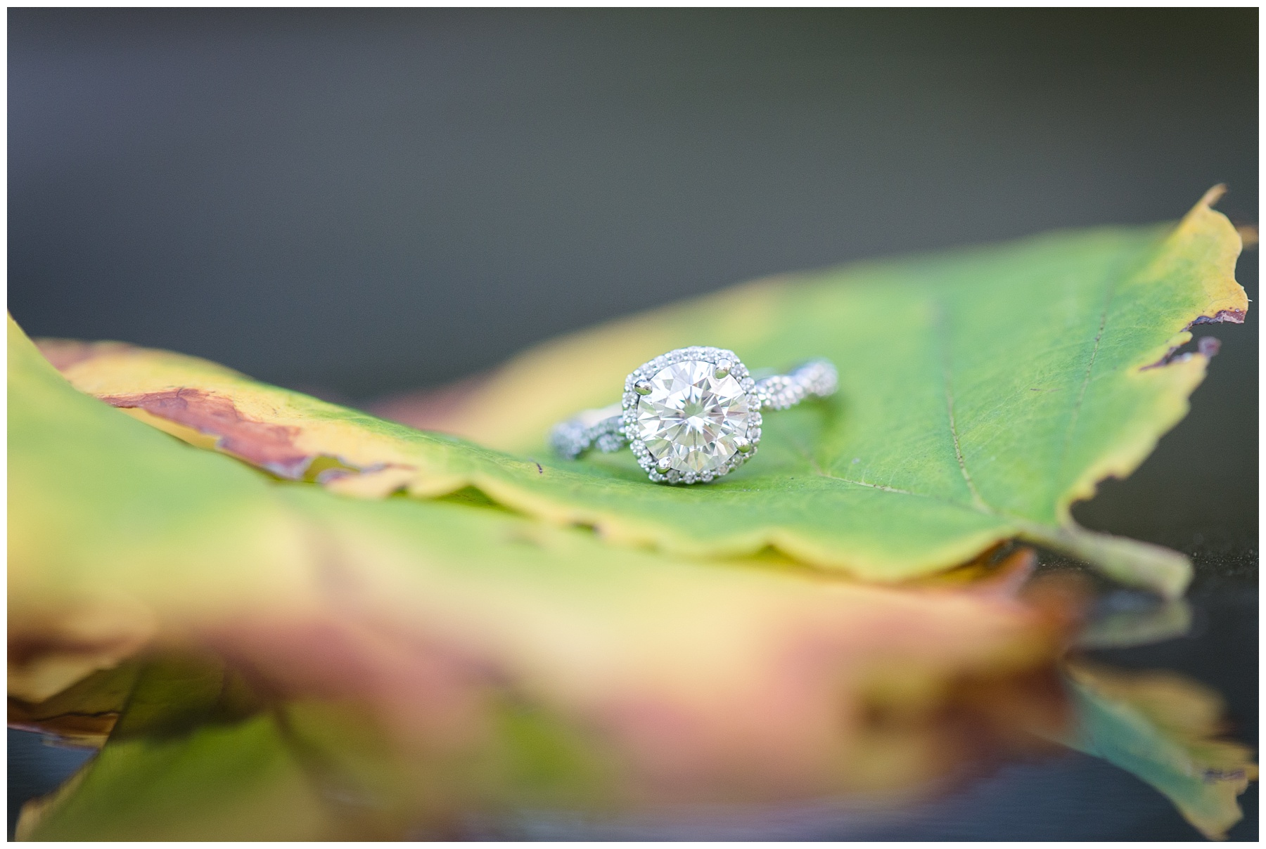 Frederick Maryland Country Engagement Shoot Mary Sarah Photography