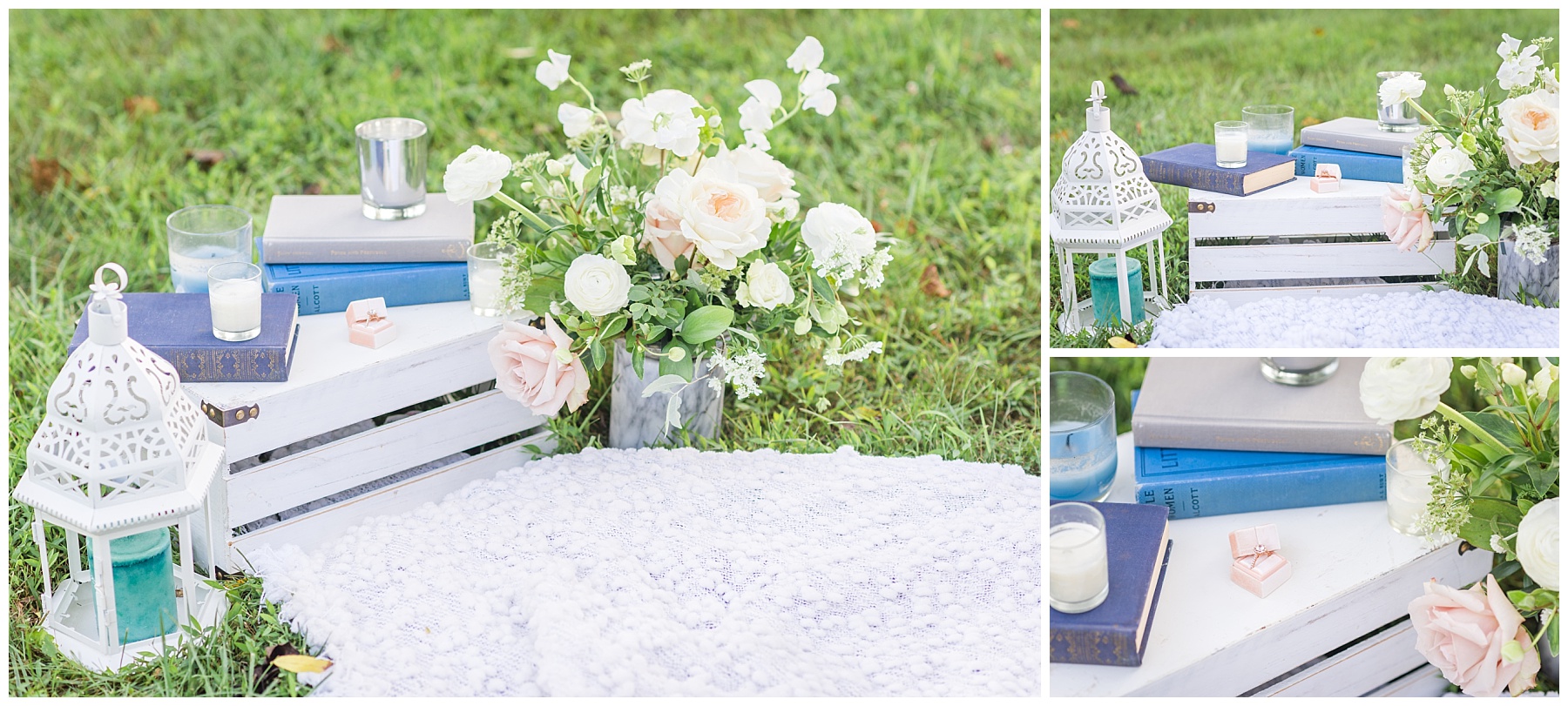 Gorgeous Picnic Engagement Shoot Annapolis Maryland Wedding Photographer