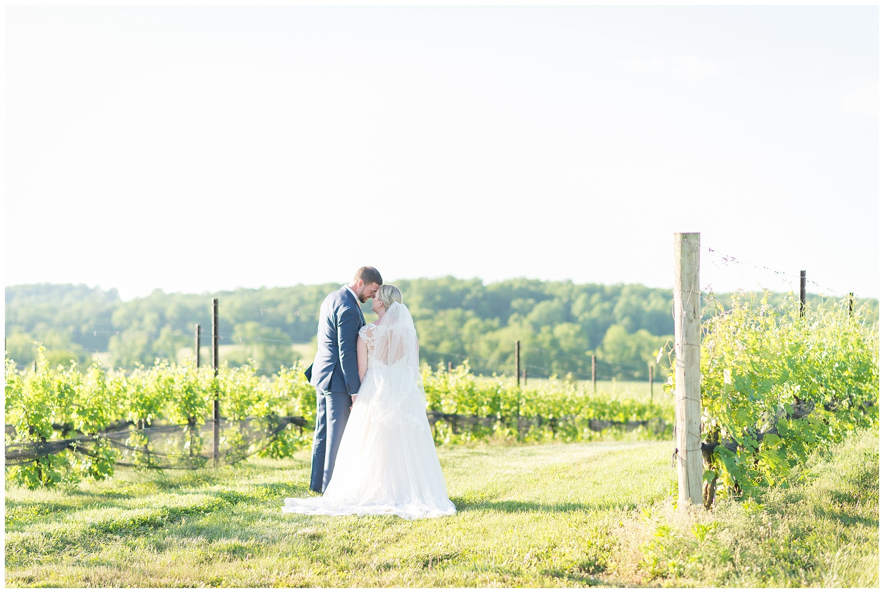 Stone Tower Winery Wedding Pictures Leesburg VA Wedding Mary Sarah Photography