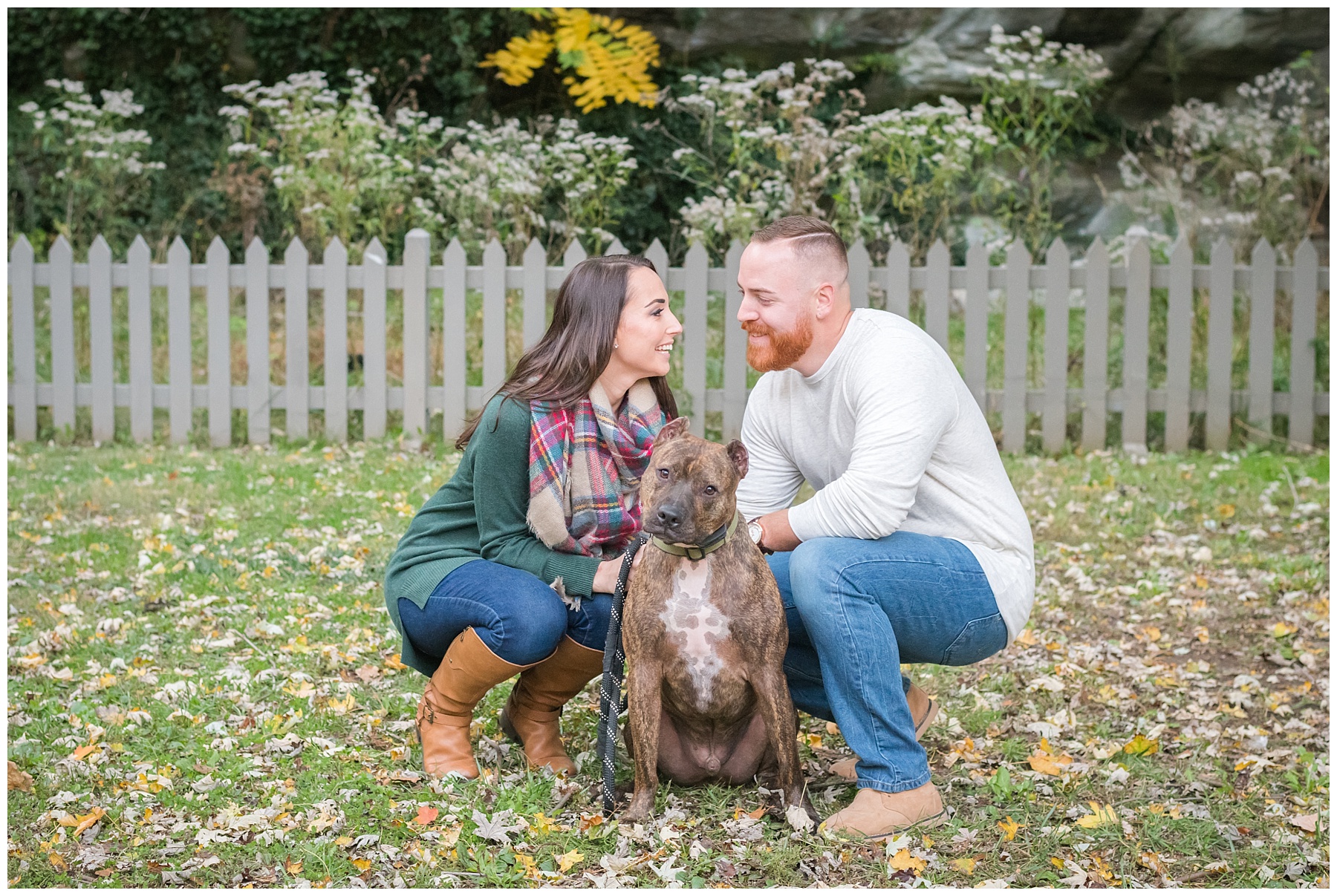 Dog engagement photos