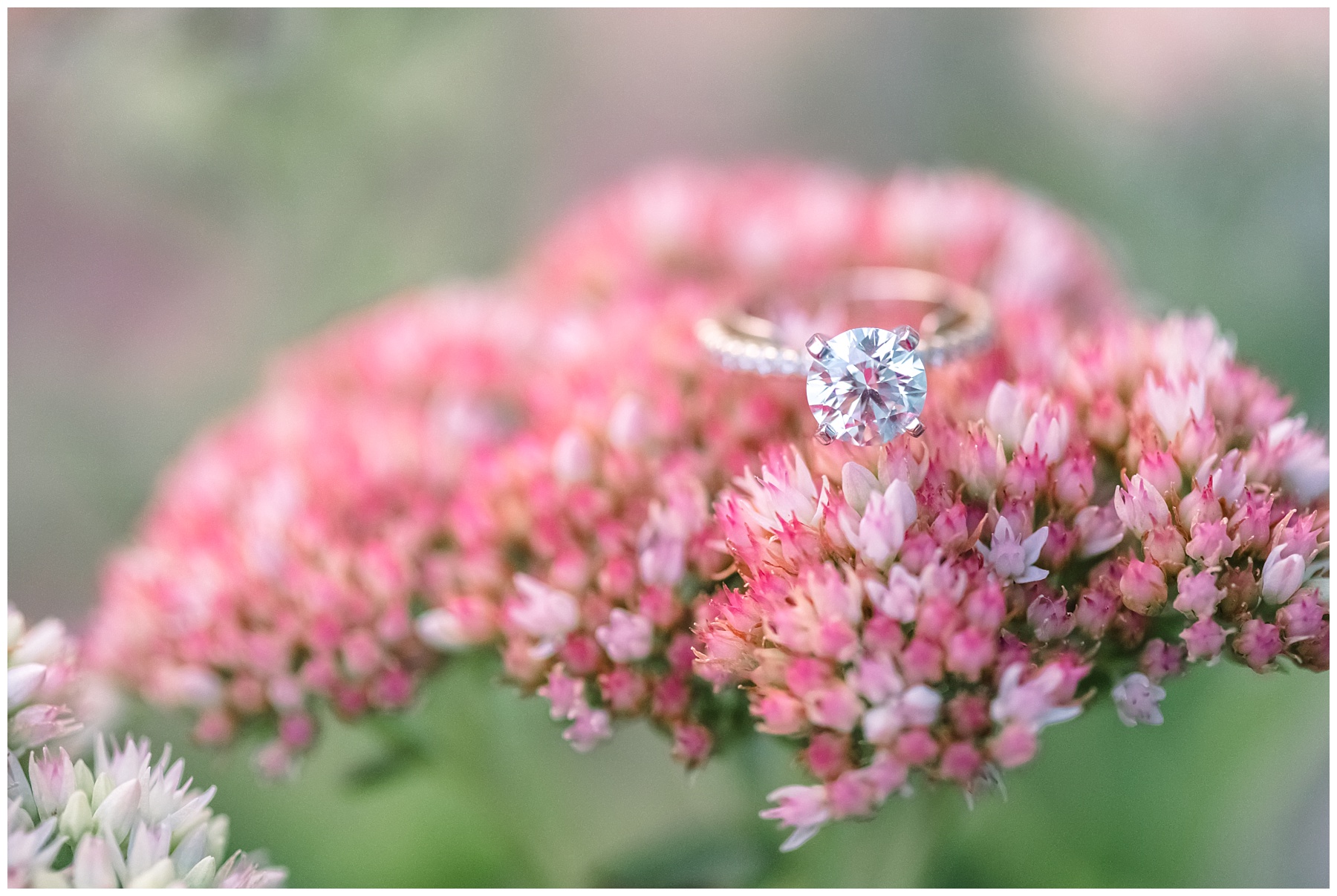 Downtown Annapolis Engagement Photos