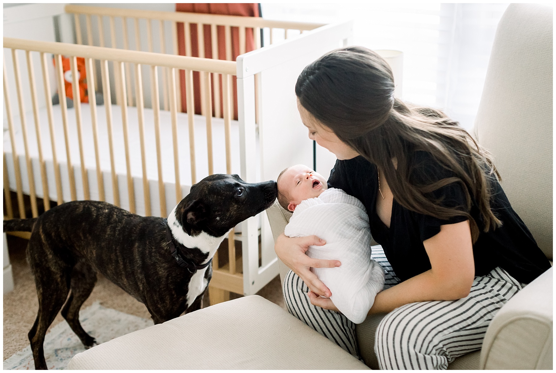 Northern Virginia Newborn Photographer