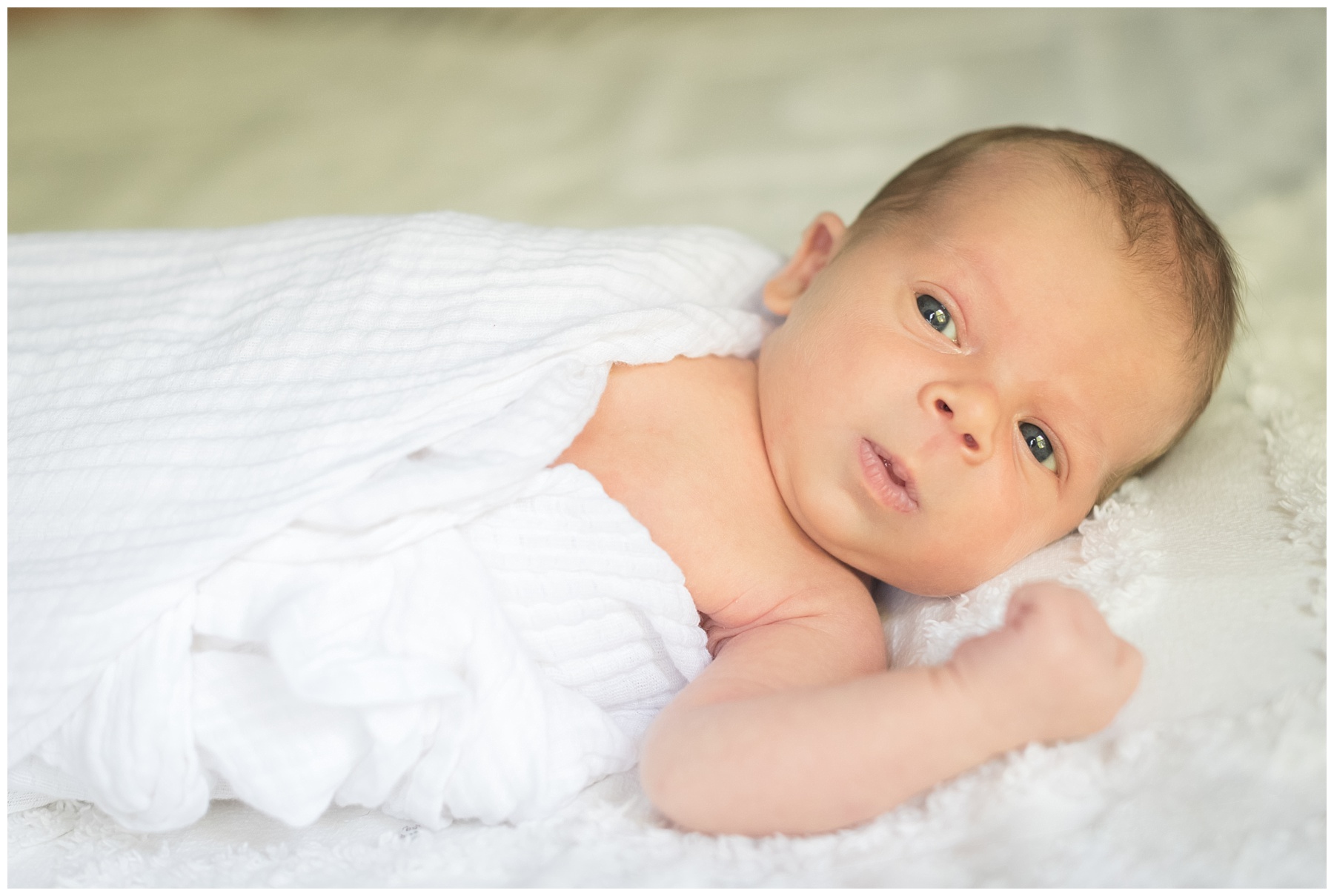 Northern Virginia Newborn Photographer