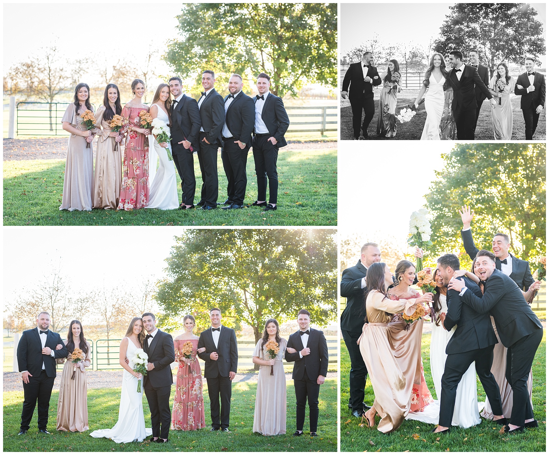 Frederick MD wedding photographer bridal party portraits