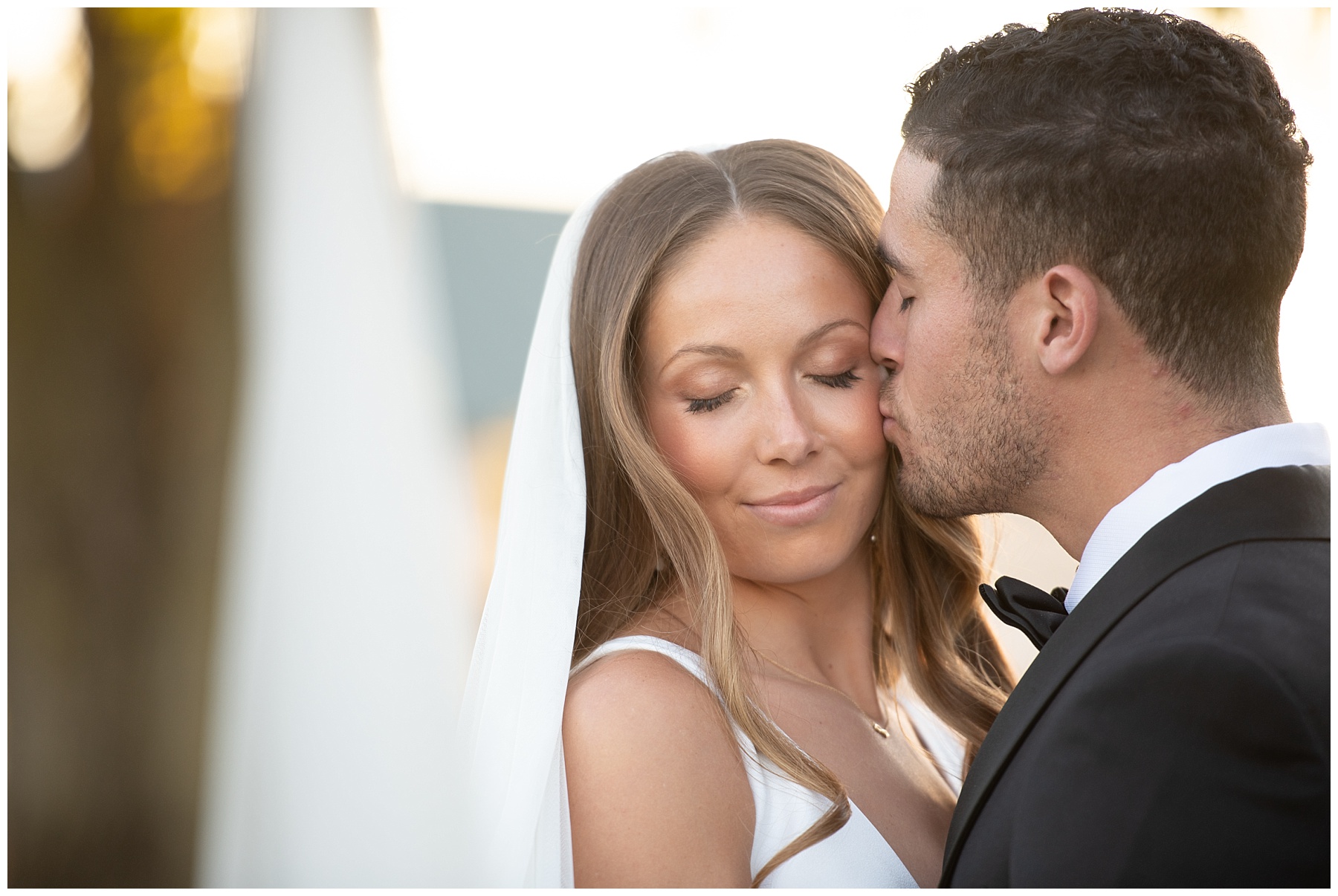 Bluebird Manor Wedding photos veil shot