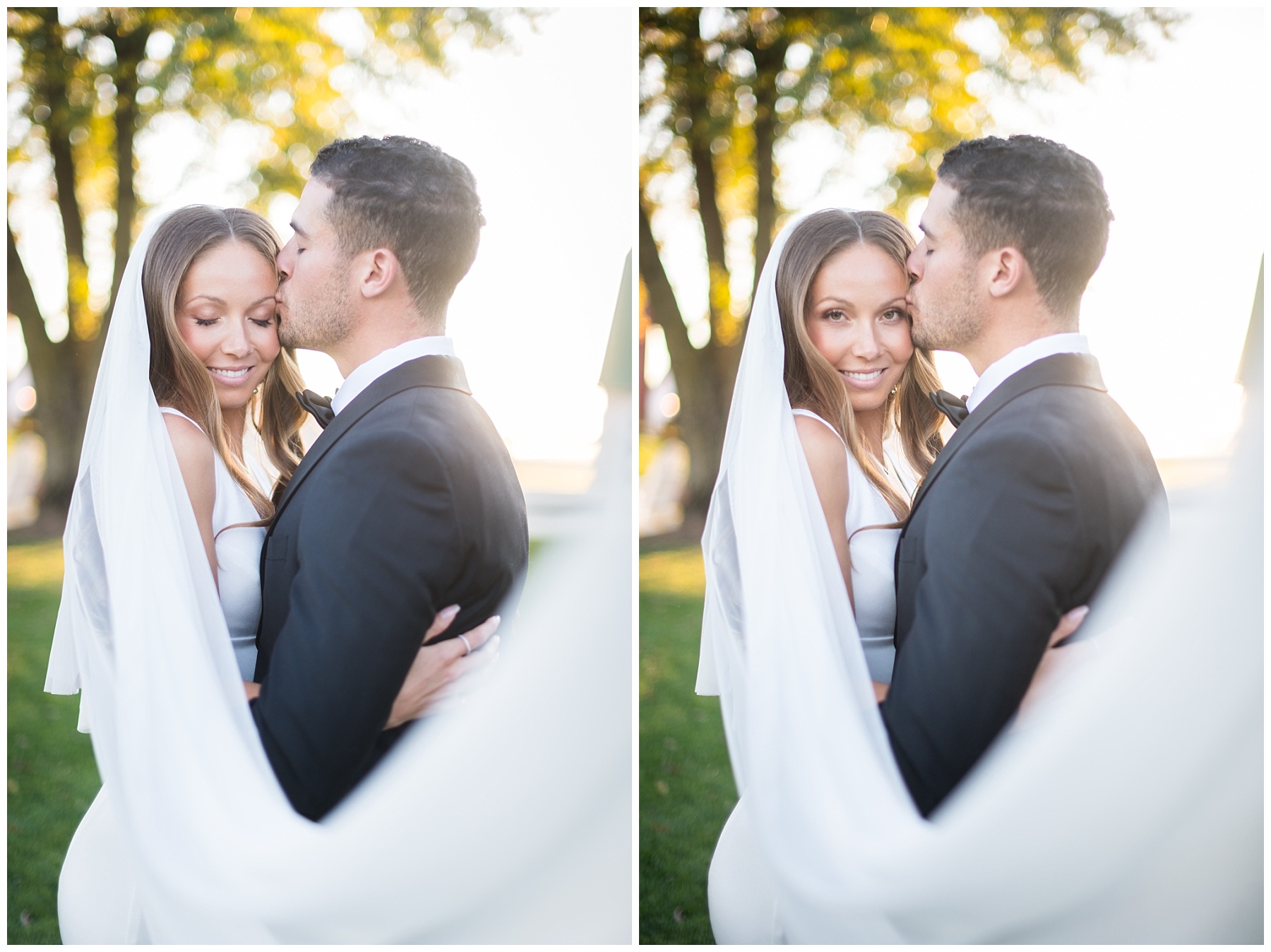 Bluebird Manor Wedding photos veil shot