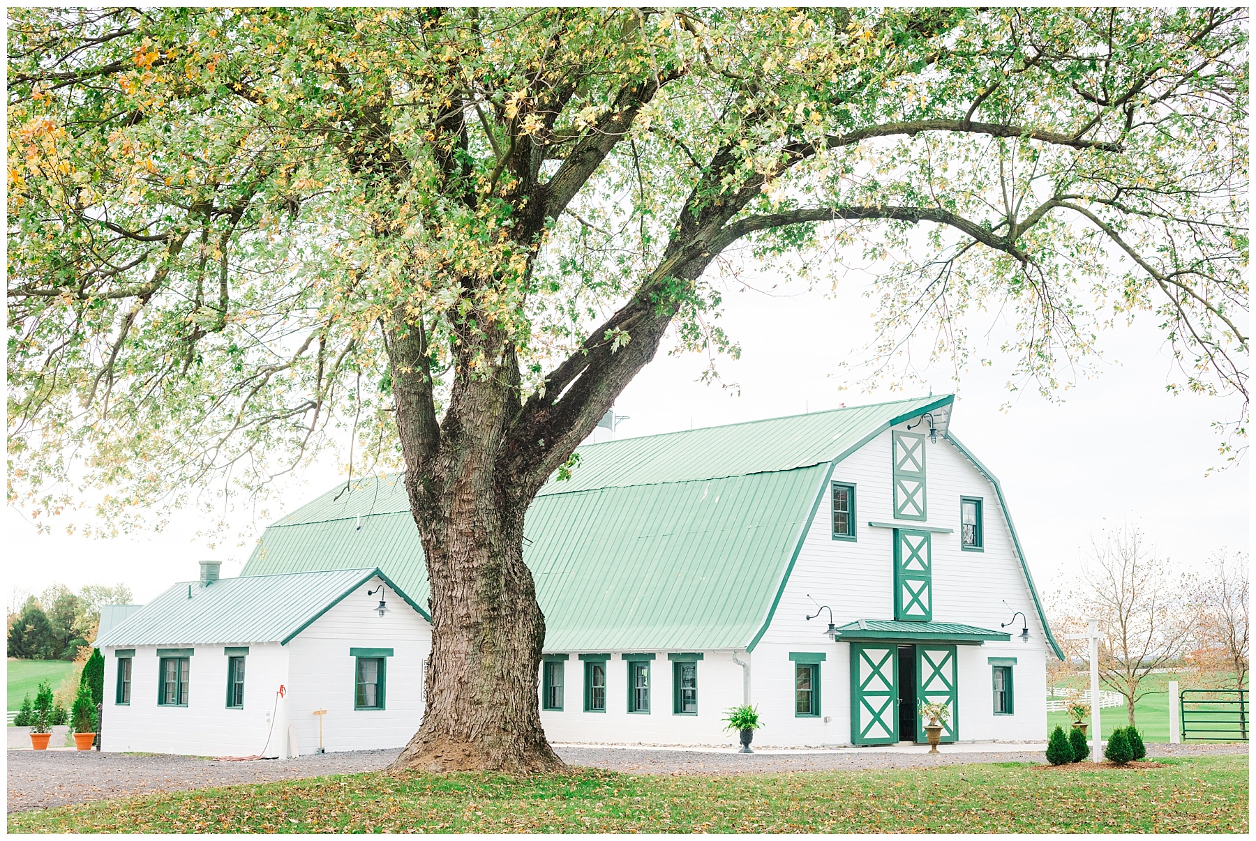 Bluebird Manor Wedding Photos at The Chapel