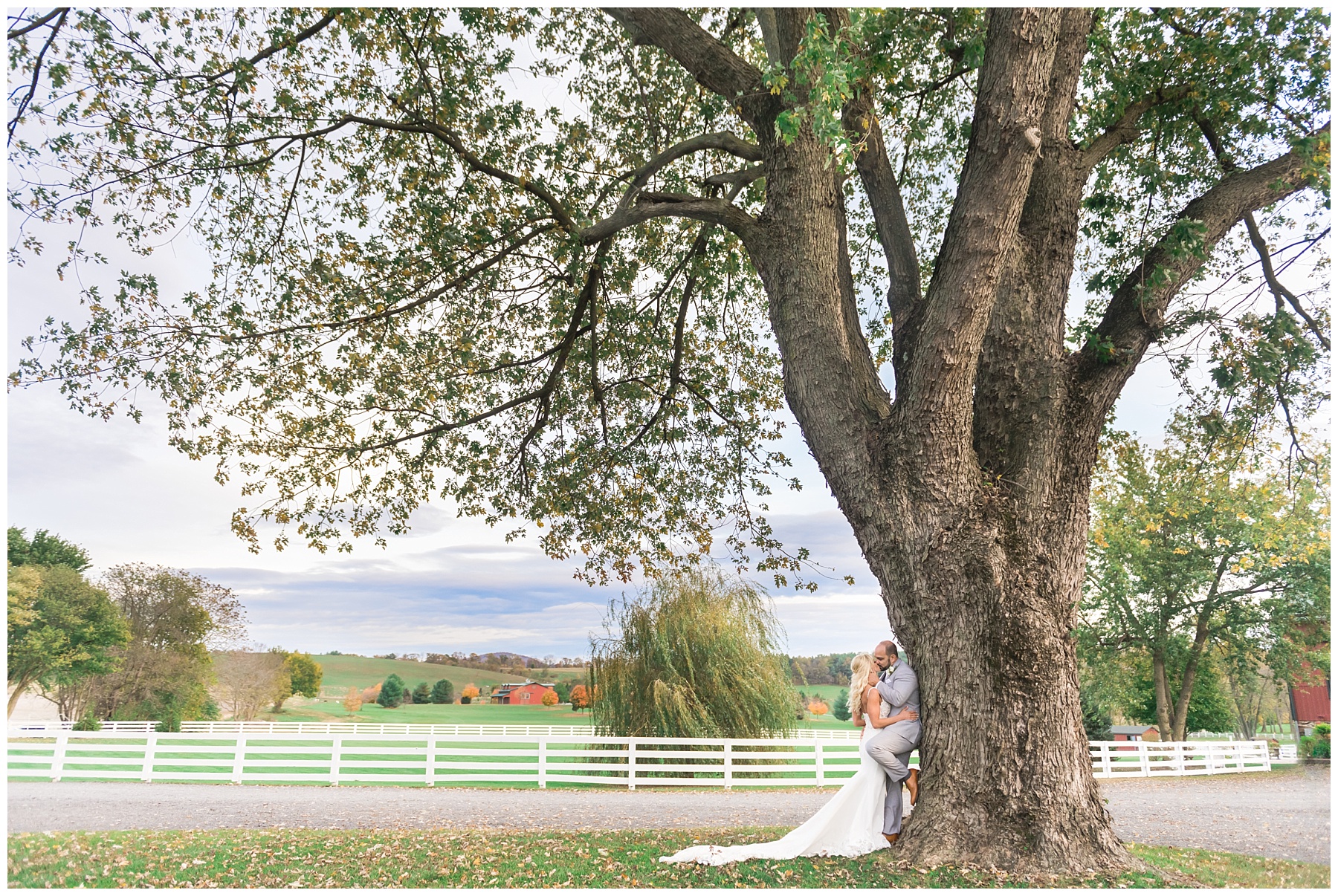 Bluebird Manor Wedding Photos