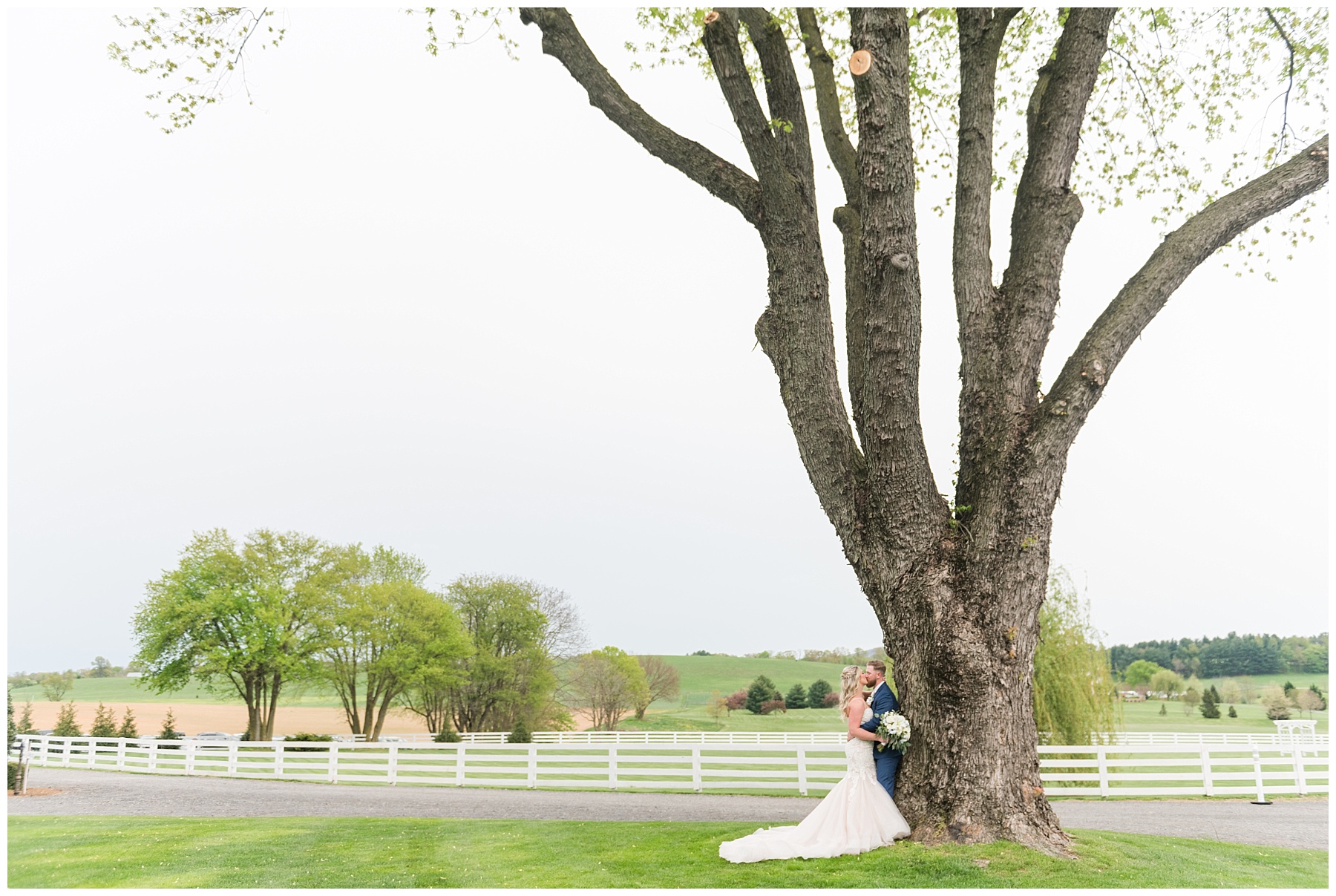 Wedding venues in Frederick MD Bluebird Manor Wedding